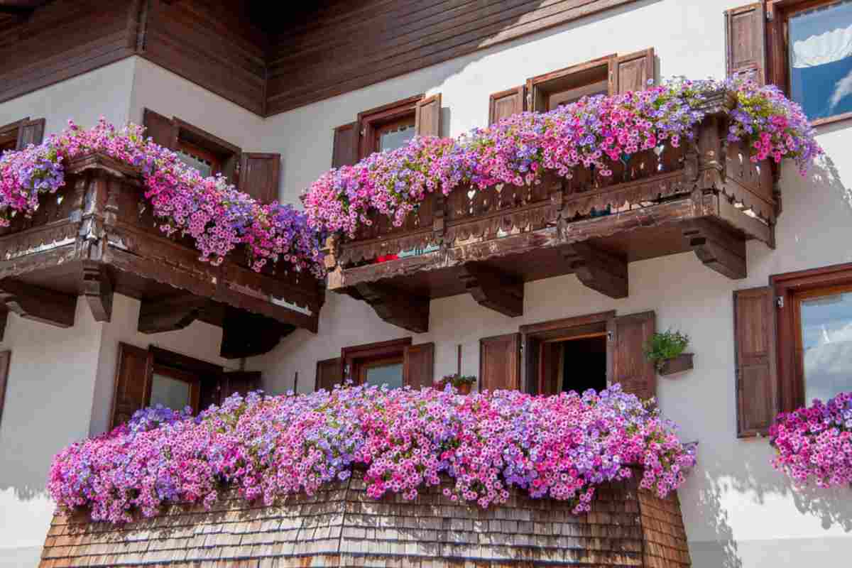 Balcone fiorito