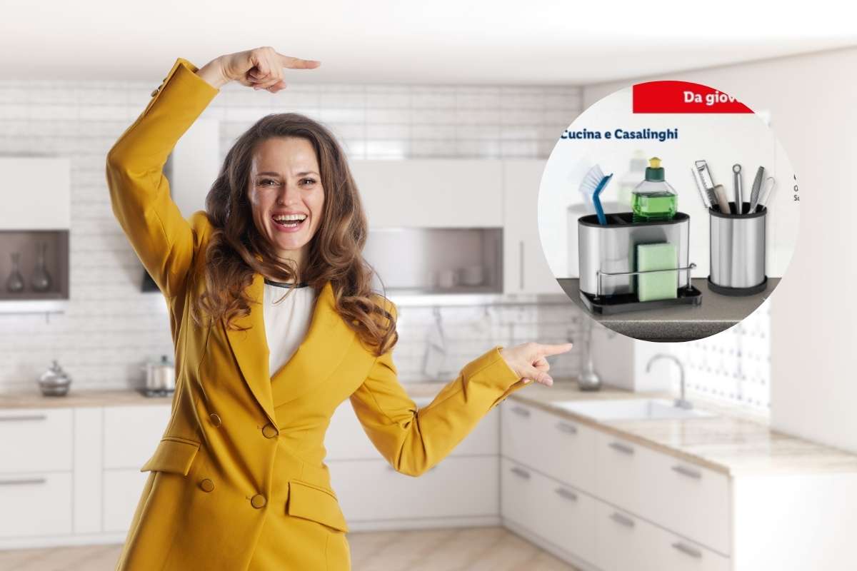 Offerta Lidl organizer