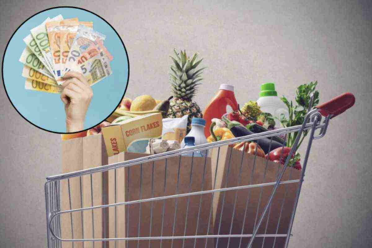 Il beneficio, riconosciuto sotto forma di Carta Spesa, è rivolto principalmente agli anziani con almeno 65 anni