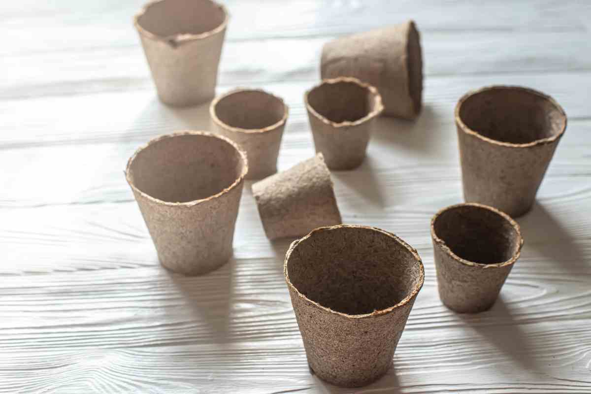 contenitori take away 