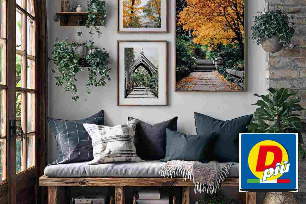 decorazione casa dipiù offerta