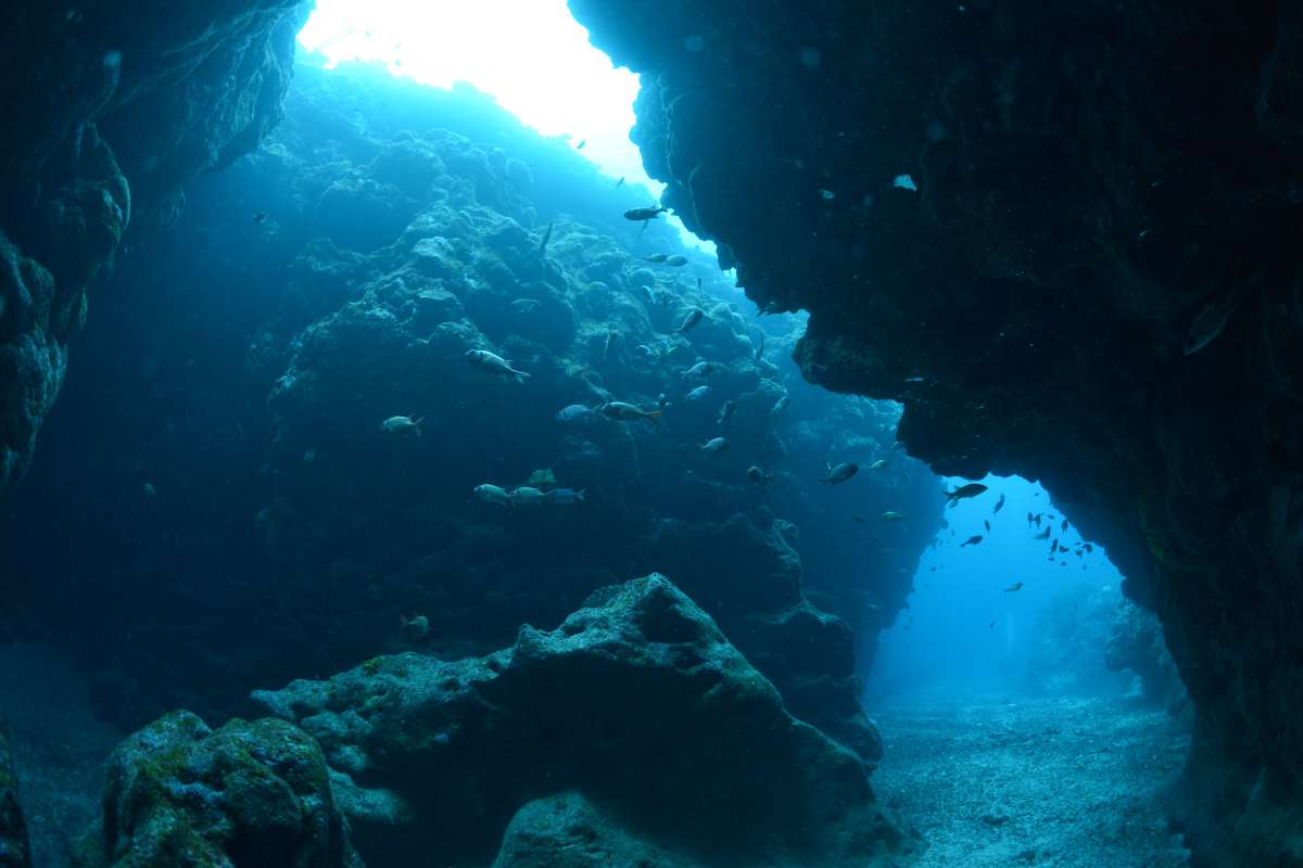 scoperta fondali marini