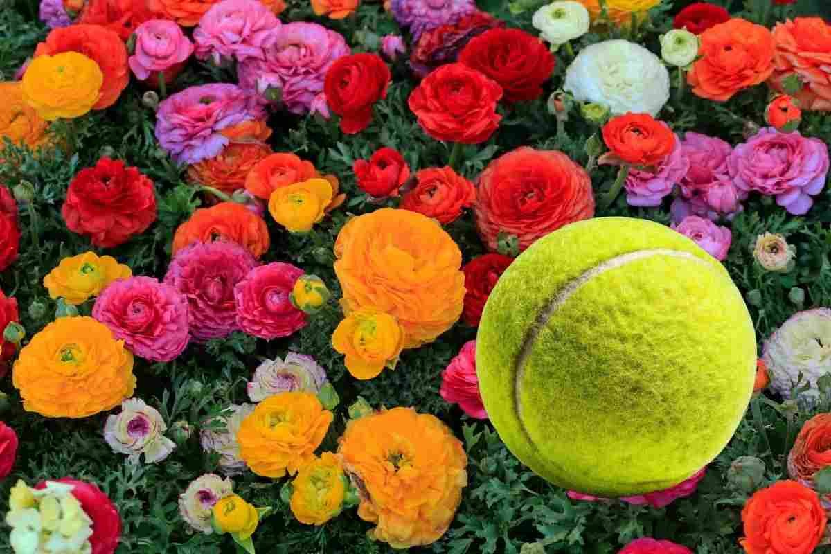 trucco della pallina da tennis